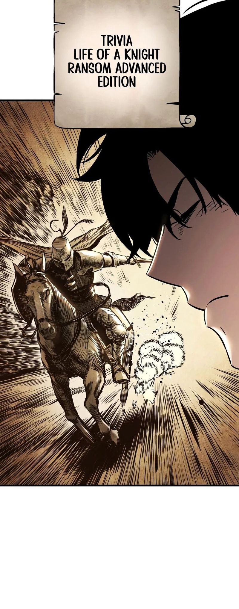 The Wandering Knight’s Survival Manual - Chapter 42 Page 11